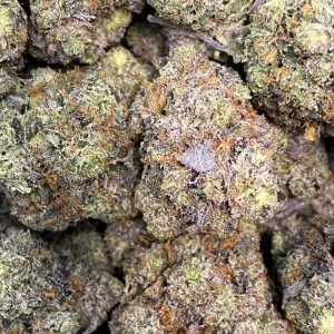 PRIMO PINK (TRIP GAS) - Image 3