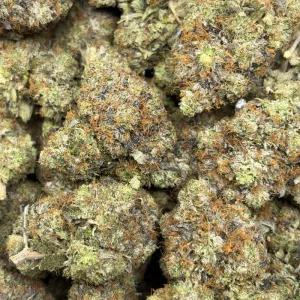 GAS FUMEZ (QUAD GAS) - Image 3