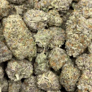 ASPEN FUEL (TRIP EXOTICS) - Image 3