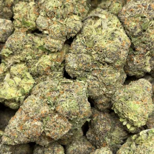 FRENCH MACAROON (TRIP EXOTICS) - Image 3