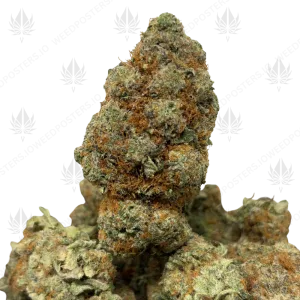 DOSI CAKE (TRIP EXOTICS) - Image 1