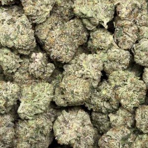 PINK CELEBI (LSO GAS) - Image 3