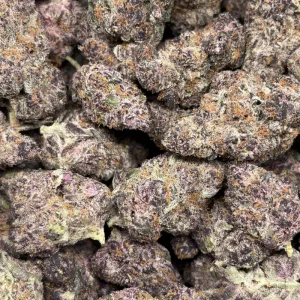 BLOCK BERRY (LSO EXOTICS) - Image 3