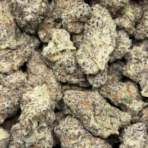 CRYSTAL ORCHARD (LSO EXOTICS) - Image 3