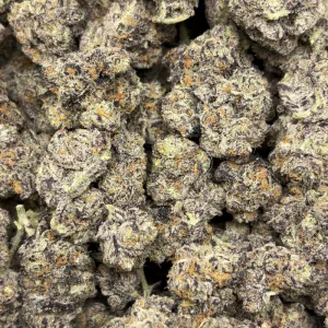 PEANUT BUTTER MUFFINS (QUAD EXOTICS) - Image 3