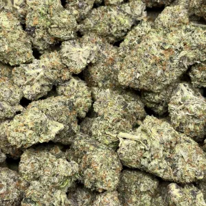 MACHO PINK (LSO GAS) - Image 3
