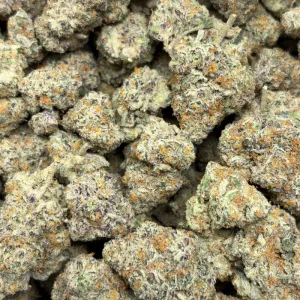 PLATINUM KUSH MINTZ (QUAD EXOTICS) - Image 3