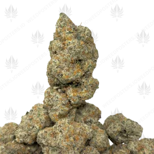 PLATINUM KUSH MINTZ (QUAD EXOTICS)