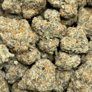 WHITE TRUFFLEZ (QUAD EXOTICS) - Image 3