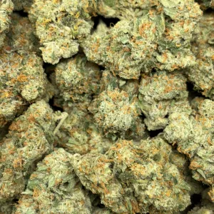 RED CONGOLESE (SATIVA) - Image 3
