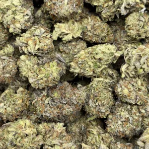 GREASY DEATH BUBBA (QUAD GAS) - Image 3