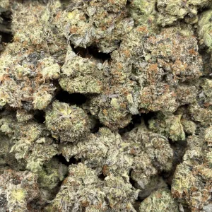 PINK SATAN (QUAD GAS) - Image 3