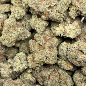 SOUR CANDY KUSH (TRIP EXOTICS) - Image 3