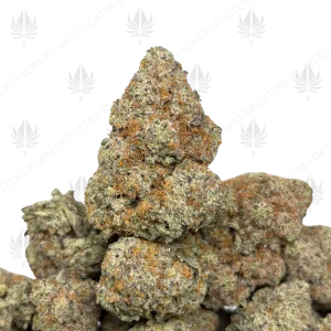 SOUR CANDY KUSH (TRIP EXOTICS) - Image 1
