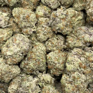 ROCKET FUEL (TRIP EXOTICS) - Image 3