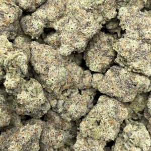 BLUEBERRY PANCAKES (QUAD EXOTICS) - Image 3