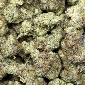 ATOMIC PINK (QUAD GAS) - Image 3