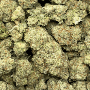 GREASE MONKEY (TRIP EXOTICS) - Image 3