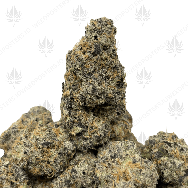 GRAPE CAKE BATTER (LSO EXOTICS)