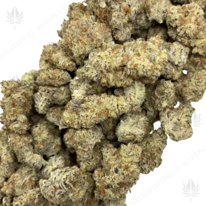 MENDO KUSH BREATH (LSO EXOTICS) - Image 2