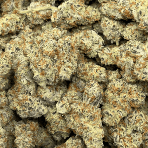 MENDO KUSH BREATH (LSO EXOTICS) - Image 3