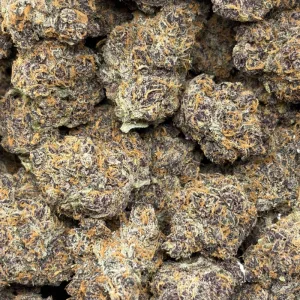 GRAPEFRUIT GELATO (LSO EXOTICS) - Image 3