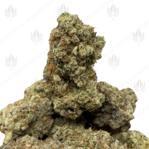 SOUR APE FUEL (LSO EXOTICS) - Image 1