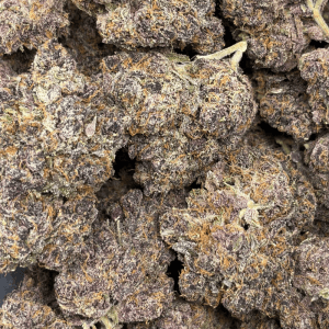 CHOCOLATE TANGIE (LSO EXOTICS) - Image 3