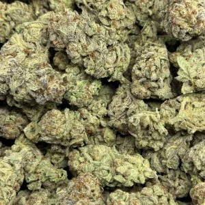 DO-SI-DOS (LOWS) - Image 3