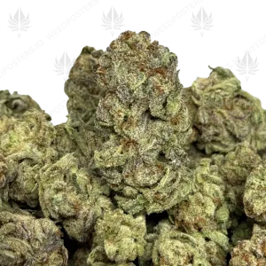 DO-SI-DOS (LOWS) - Image 1