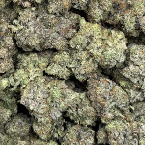 TUNA OG (QUAD GAS) - Image 3