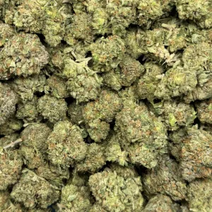 WEST COAST GAS (TRIP GAS) - Image 3