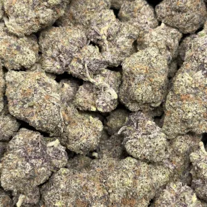 CAKE MIX (QUAD EXOTICS) - Image 3