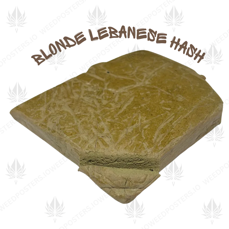 Blonde Lebanese Hash - Header