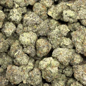 NUCLEAR PINK (LSO GAS) - Image 3