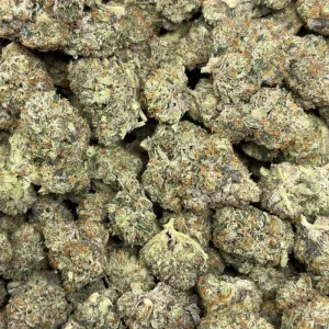 PINK 50 CAL (LSO GAS) - Image 3