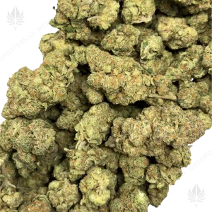 JACK HERER (SATIVA) - Image 2