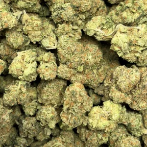JACK HERER (SATIVA) - Image 3
