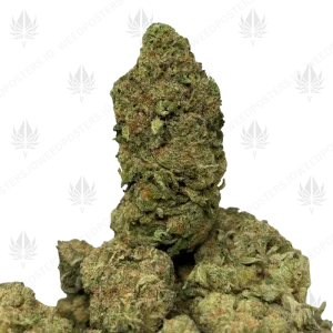 JACK HERER (SATIVA) - Image 1