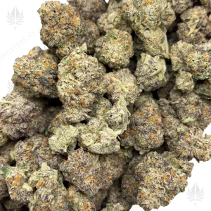 PUNCH CAKE (TRIP EXOTICS) - Image 2
