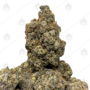 LEMON TRIANGLE KUSH (LSO EXOTICS) - Image 1