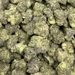 LINDSAY OG (TRIP GAS) - Image 3