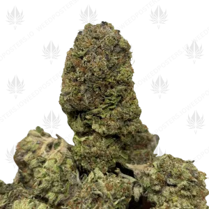 BRUTAL BUBBA (TRIP GAS) - Image 1