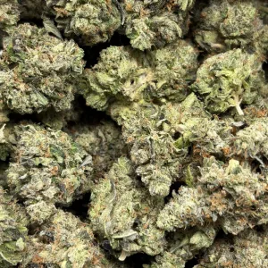 RECKLESS ROCKSTAR (TRIP GAS) - Image 3