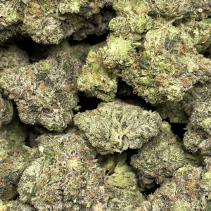 THE GODFATHER (QUAD GAS) - Image 3