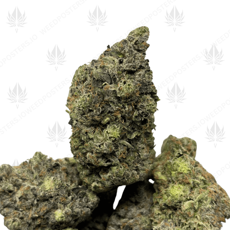 THE GODFATHER (QUAD GAS)