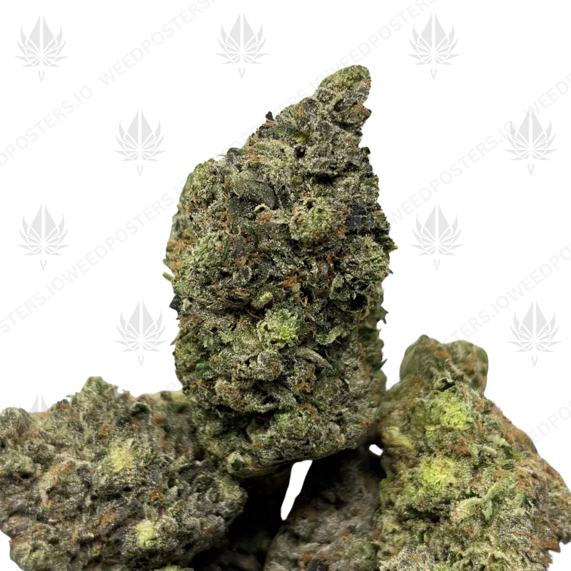 THE GODFATHER (QUAD GAS)