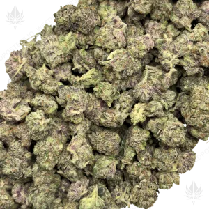 MK ULTRA (TRIP GAS) - Image 2