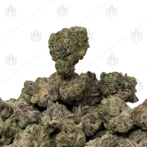 MK ULTRA (TRIP GAS) - Image 1