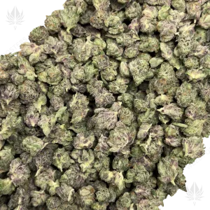 PINK PISTOL (SMALLS) - QUAD GAS - Image 2